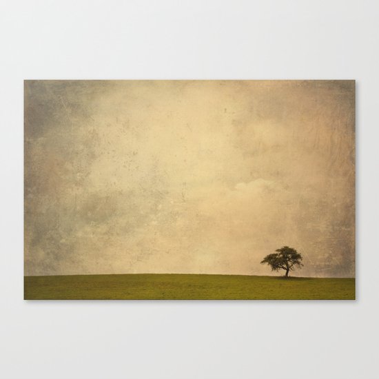 solitude Canvas Print