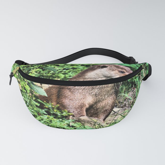 Otter Lookout Fanny Pack