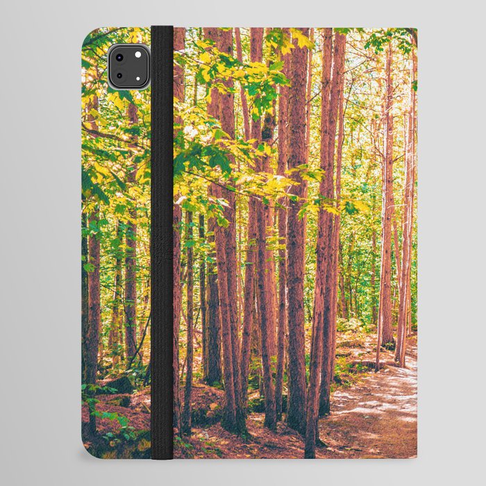 Forest Hiking Minnesota iPad Folio Case