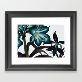 Teal Serenity: Amaryllis Print in Tranquil Teal – Sophisticated Florals Framed Art Print