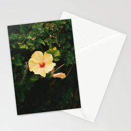 Hibiscus Stationery Card