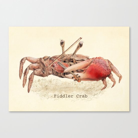 Fiddler Crab Canvas Print