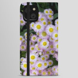 Pink Aster universe iPhone Wallet Case