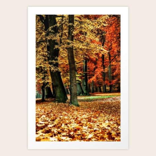 autumn colors Art Print