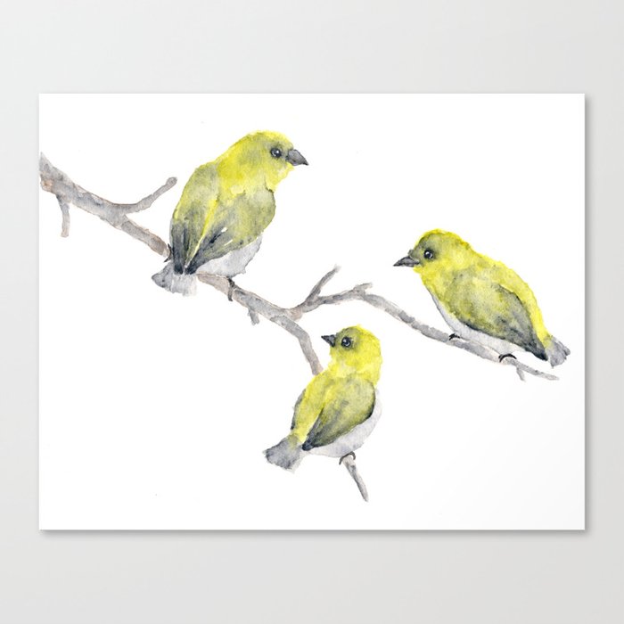 Finch Bird Canvas Print