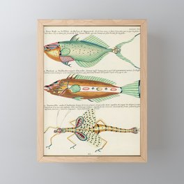 fish by Louis Renard Framed Mini Art Print