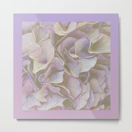 FADED HYDRANGEA CLOSE UP Metal Print | Photo, Abstract, Nature 