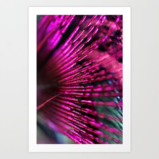 Pink Feathers Art Print