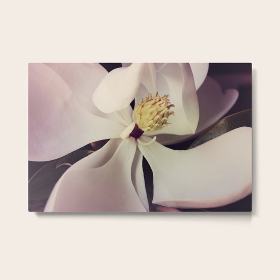 Magnolia Metal Print