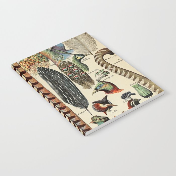 Feathers by Adolphe Millot Notebook