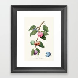 Macaron Plant Framed Art Print
