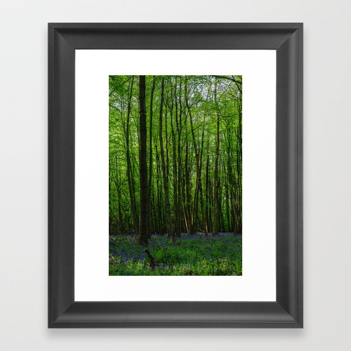 Bluebell Wood 2 Framed Art Print