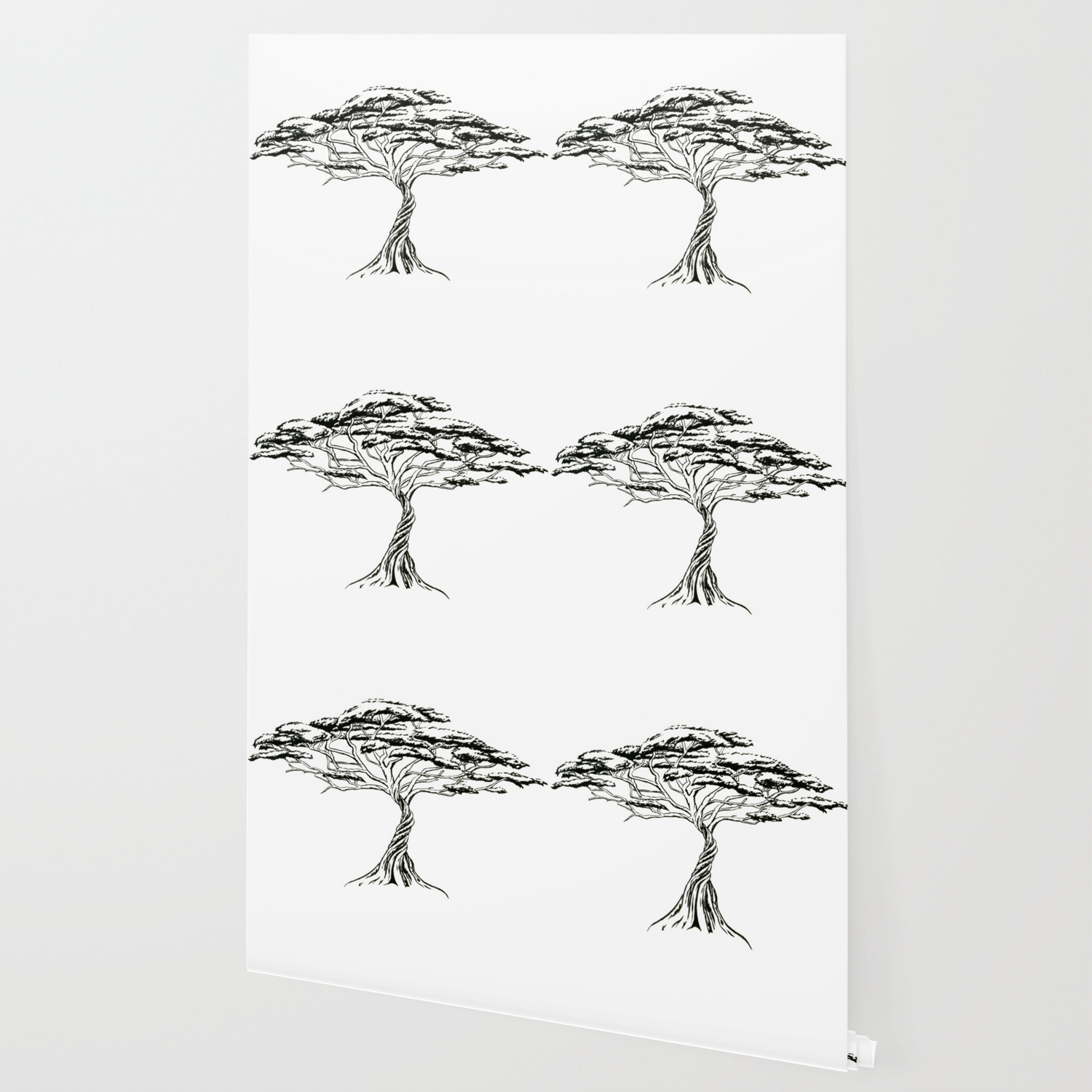 Whistling Thorn Zen Bonsai African Tree Wallpaper By Irenesillustrationgoodies Society6