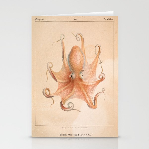 Octopus from "Mollusques Méditeranéens" by Jean Baptiste Vérany, 1851 Stationery Cards