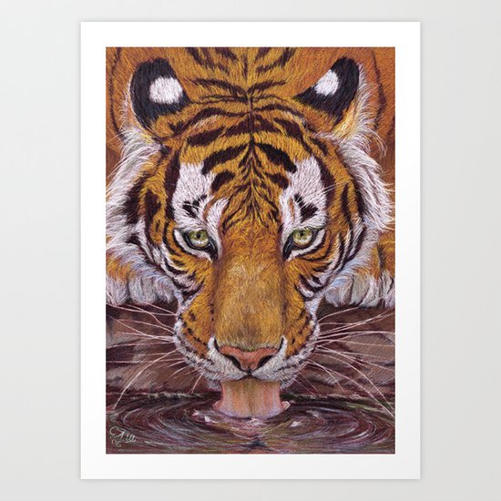 Thirsty Tiger Art Print