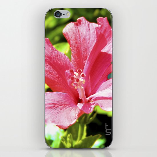 Hibiscus II iPhone & iPod Skin