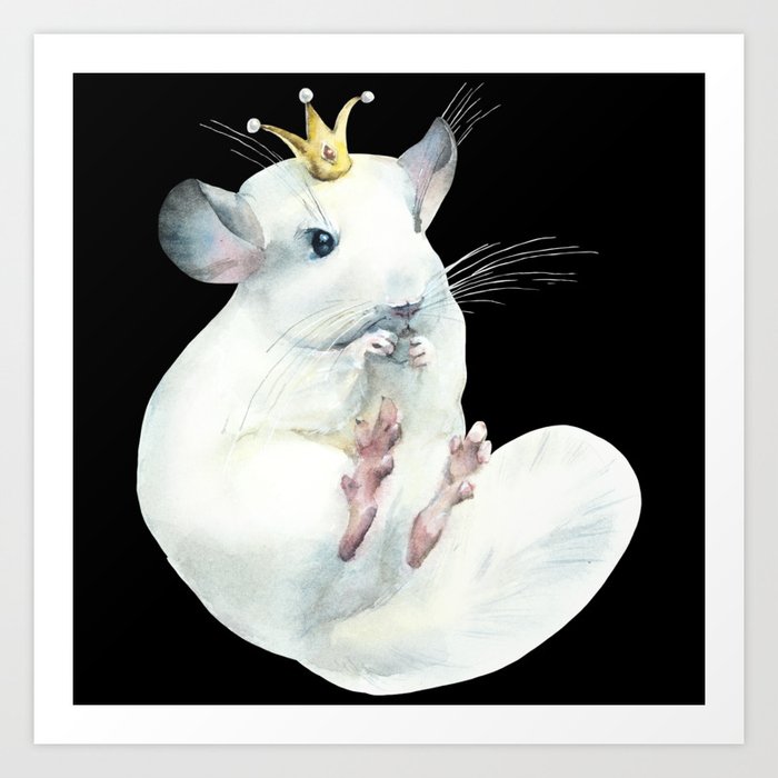 Chinchilla painting shop
