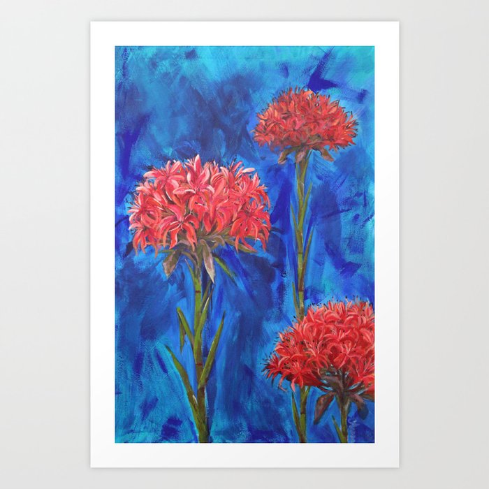 Gymea Lilly Lookout Art Print