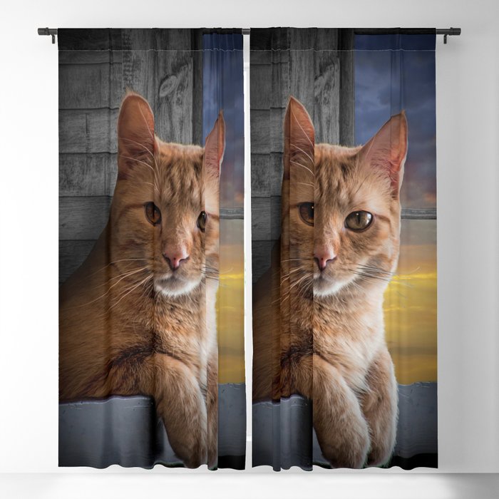 You looking at me, says the Cat Blackout Curtain
