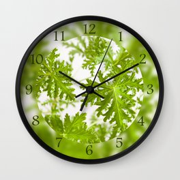 Pelargonium citrosum plant foliage macro Wall Clock