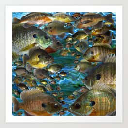 Bluegill Art Prints Society6