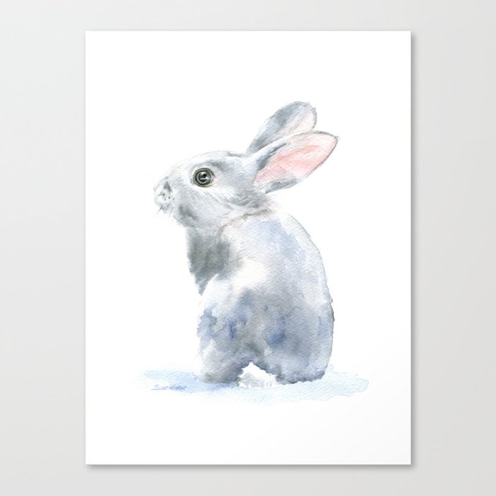 Gray Bunny Rabbit Watercolor Painting Canvas Print By Susanwindsor