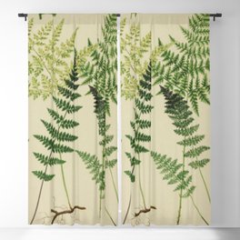 Botanical Ferns Blackout Curtain