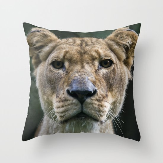 Lioness Throw Pillow