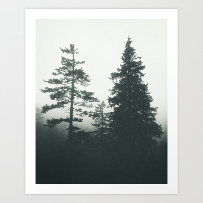 Nostalgia Mon Amour // Misty Fairytale Forest With Cascadia Trees Covered In Magic Fog Series Art Print