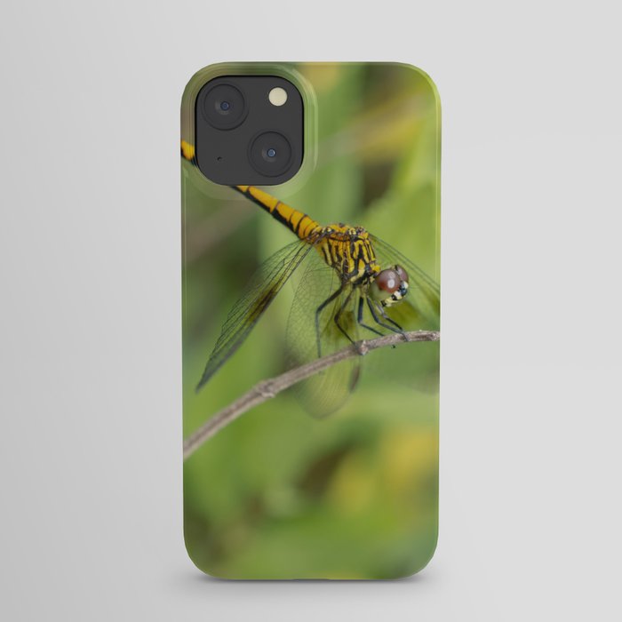 Dragonfly on Twig Wildlife Photograph iPhone Case and More