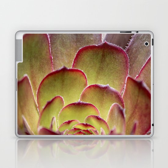 Succulent Laptop & iPad Skin
