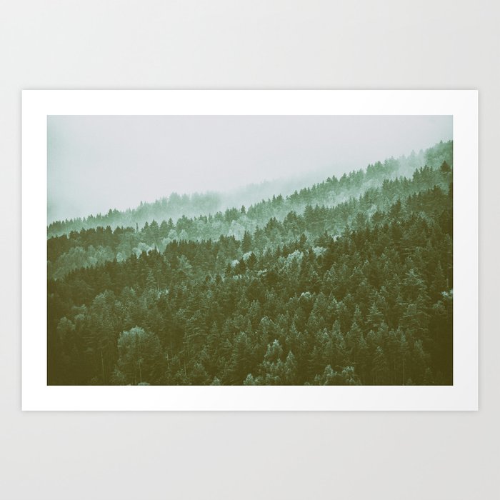 Forest in the fog Art Print