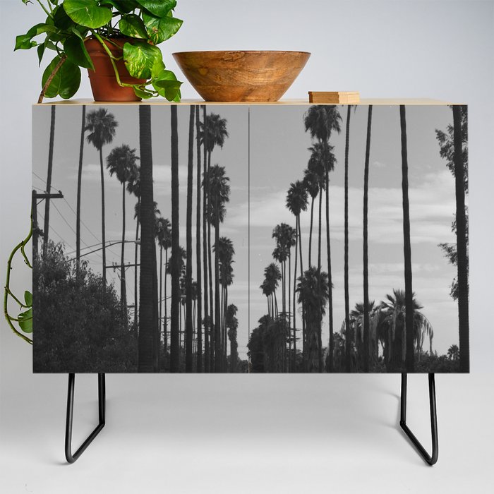 Vintage Black & White California Palm Trees Photo Credenza