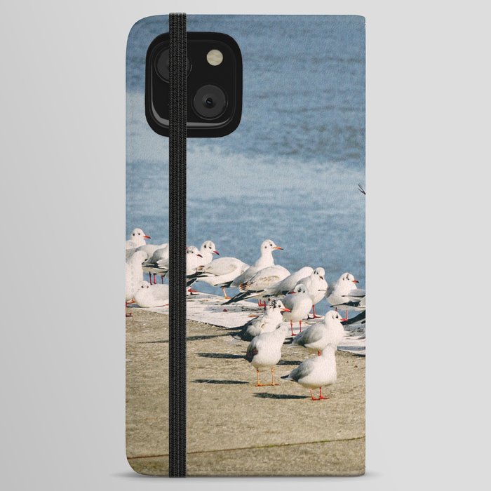 Seagulls | Coastal Birds Nature Photography  iPhone Wallet Case