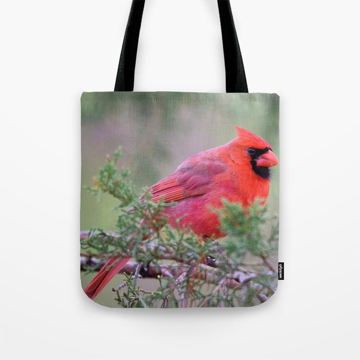Spring Cardinal Tote Bag