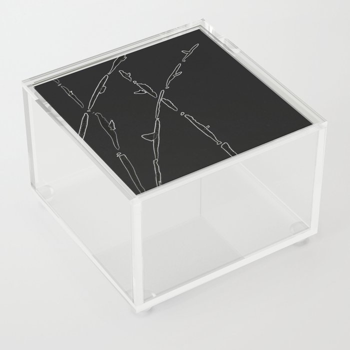 Bamboo- Dark Acrylic Box
