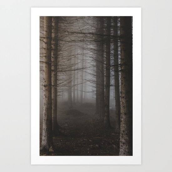 In the still forest Art Print