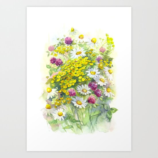 Watercolor meadow flowers spring Art Print