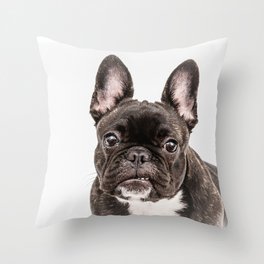 French bulldog portrait Throw Pillow