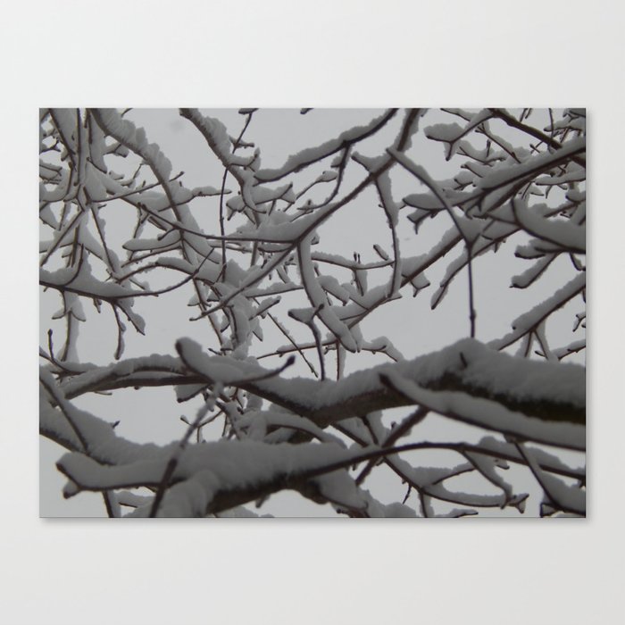 winter scene 5 Canvas Print