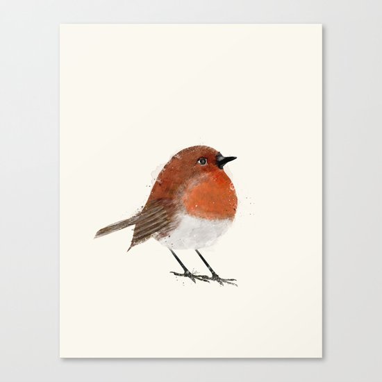 little robin Canvas Print