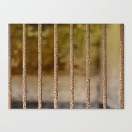 Close-up of rusty prison cell bars with shallow focus Canvas Print