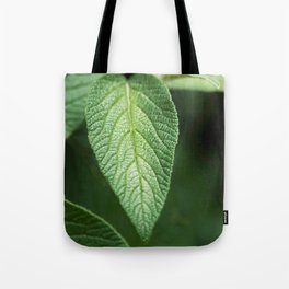 Textured Sage Leaf Tote Bag