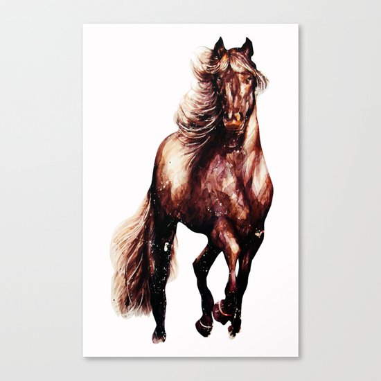 spirit Canvas Print