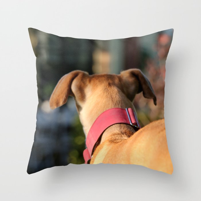 Lua Greyhound Throw Pillow