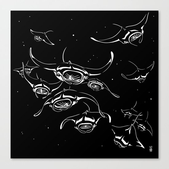 Manta Rays landing Canvas Print