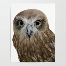 Owl Portrait Poster