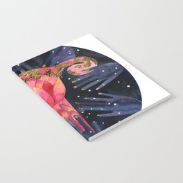 The Sacred Womb Notebook