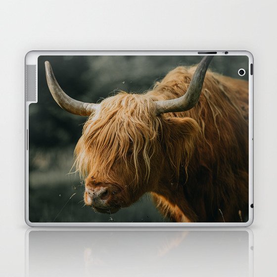 Scottish Highland Cow | Scottish Cattle | Cute Cow | Cute Cattle 04 Laptop & iPad Skin