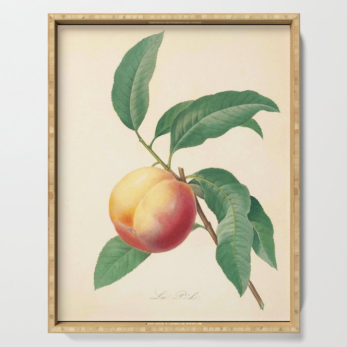 Peach Fruit Flower Color Pencil Hand Drawing Serving Tray by theyoungdesigns | Society6